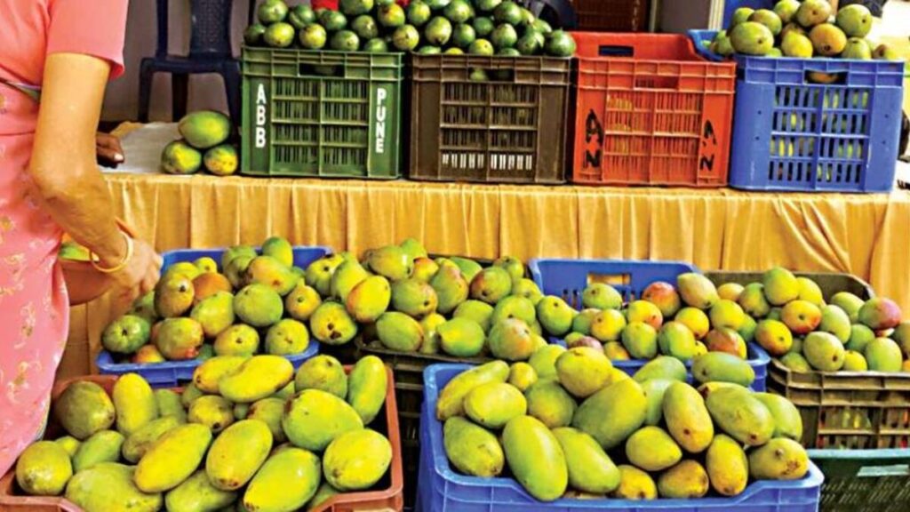 mango mela