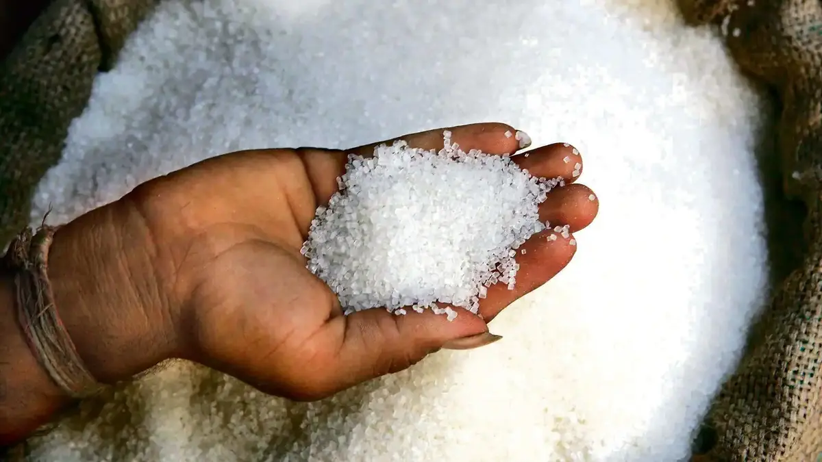 Indian Government extends curbs on sugar export