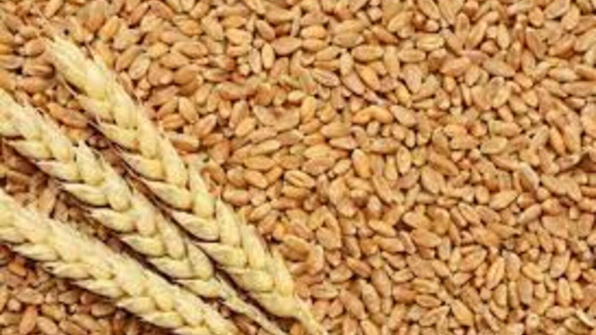 central government reduced the wheat stock limit