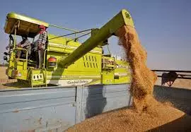Wheat export ban