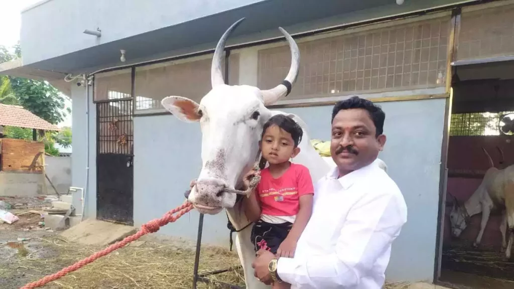 ಚಾಮುಂಡಿ ಎಕ್ಸ್‌ಪ್ರೆಸ್ ಹೋರಿ