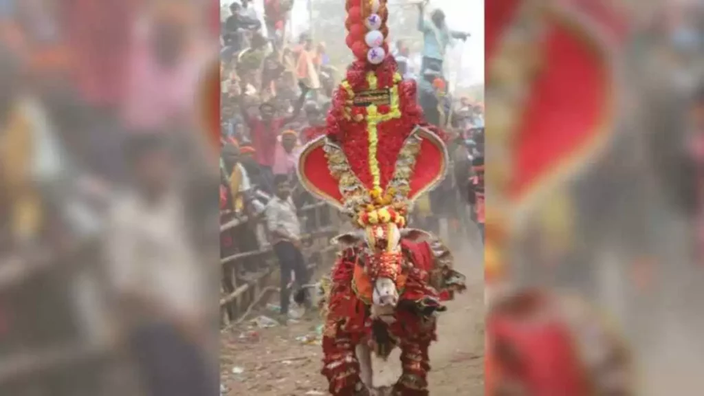 ಚಾಮುಂಡಿ ಎಕ್ಸ್‌ಪ್ರೆಸ್ ಹೋರಿ