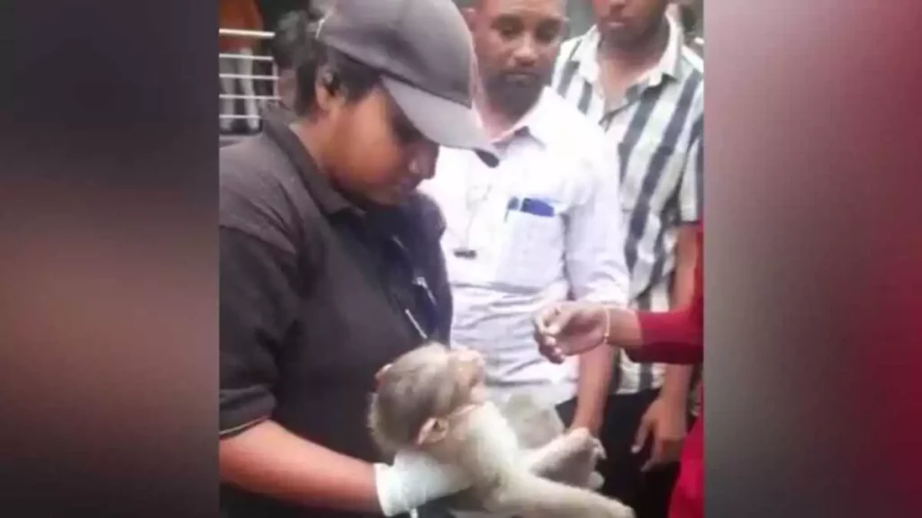 ವಾತ್ಸಲ್ಯ ತೋರುವ ಯುವತಿ