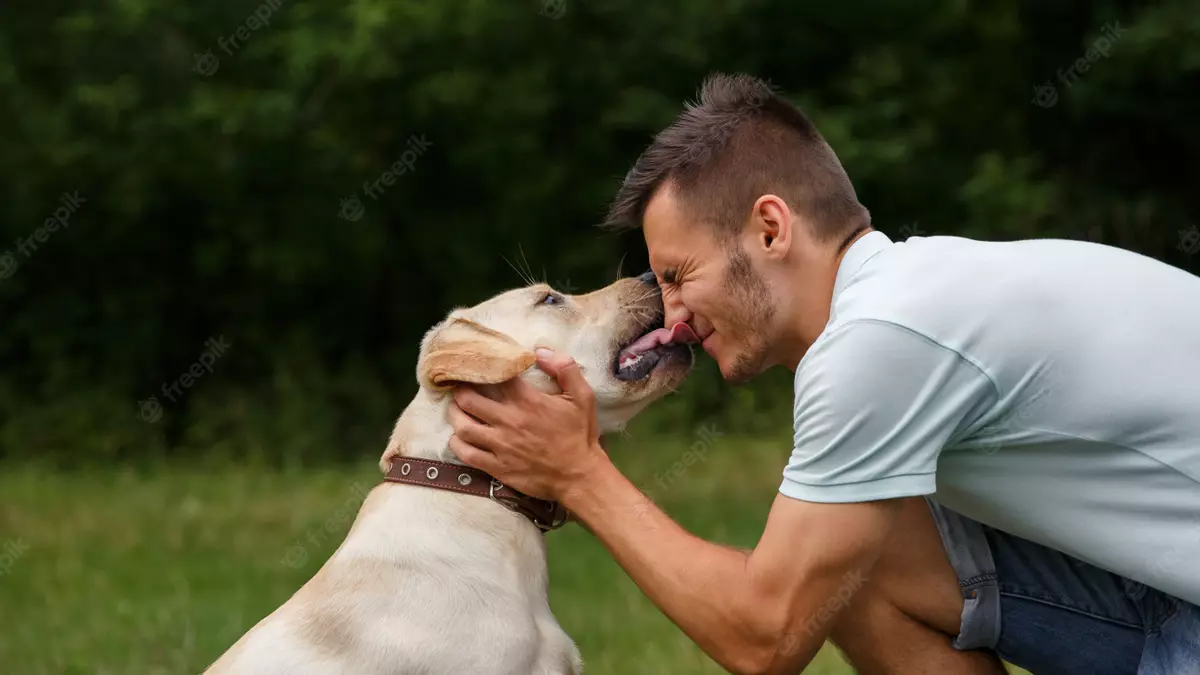 dog and man