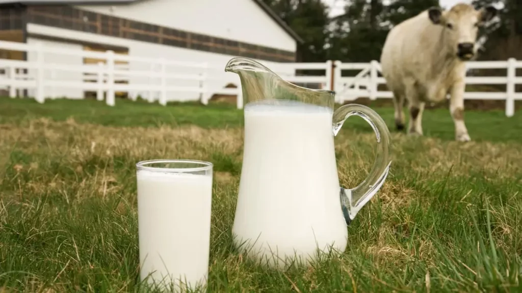 world milk day