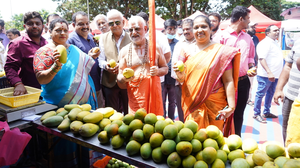mango festival malleshwara