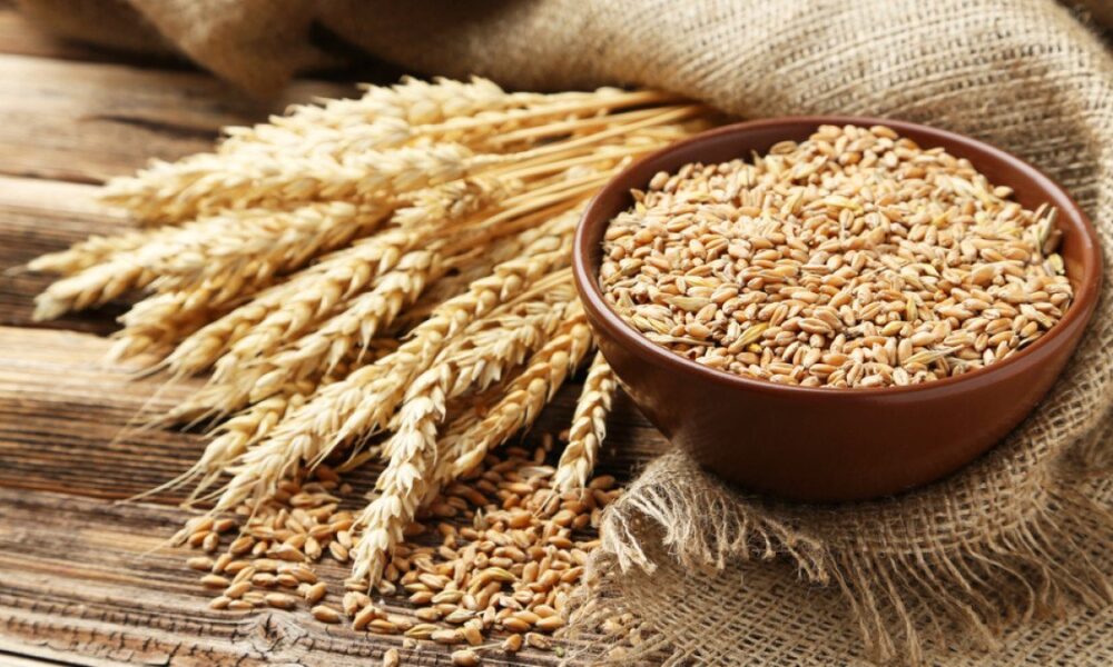 wheat export