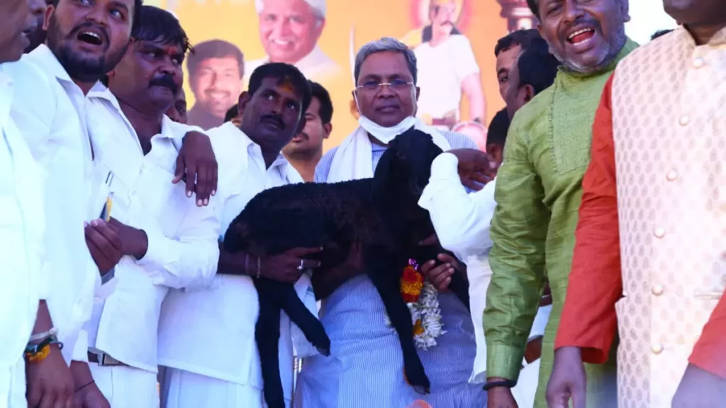 Siddaramaiah siddaramotsva