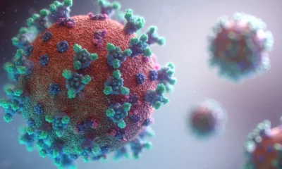 corona viruss