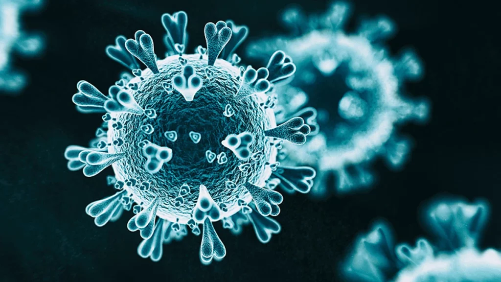 coronavirus