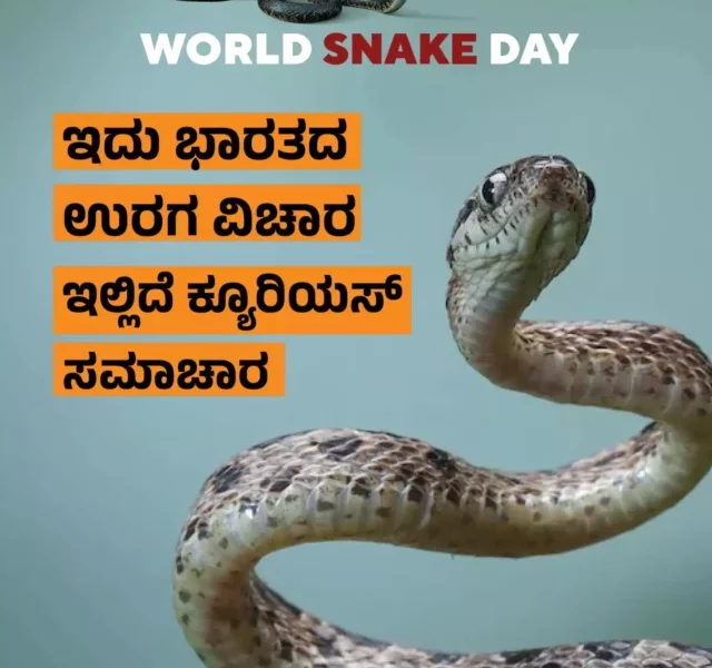 world snake day