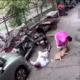 delhi dog attack