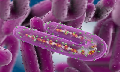 Resurgence of Marburg virus, 9 deaths in West Africa