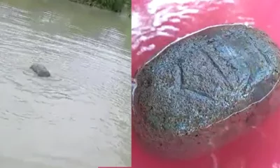 Floating Stone