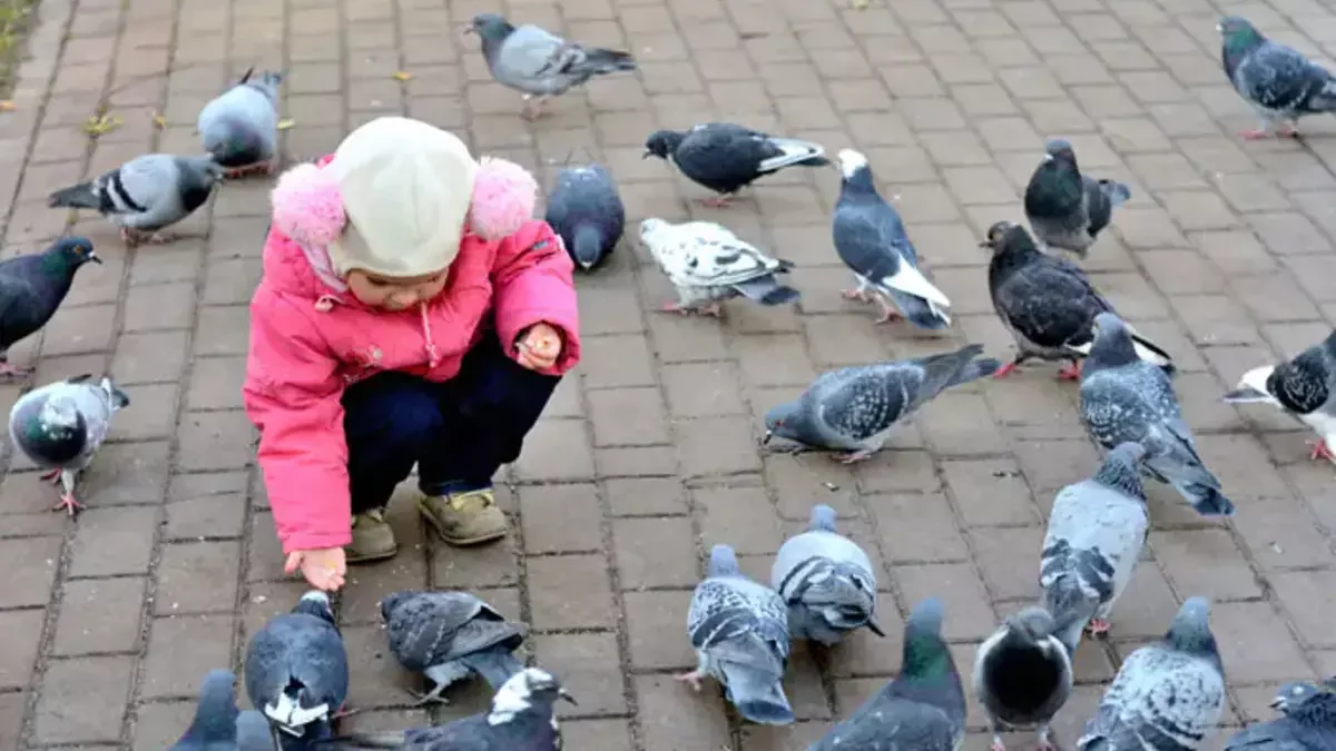 boy feeding