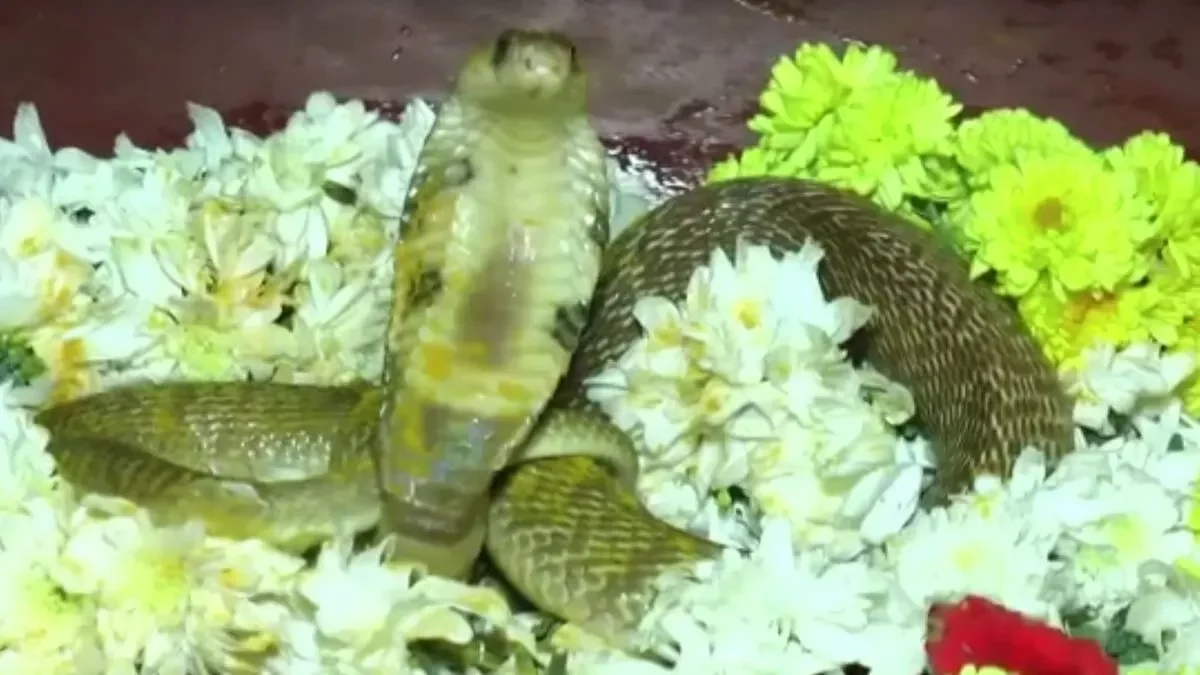 Nagara Panchami