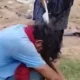 Uttar Pradesh Woman Thrashes Man 40 Times Within 20 Seconds