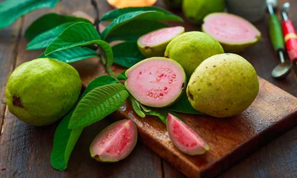 guava nutrition