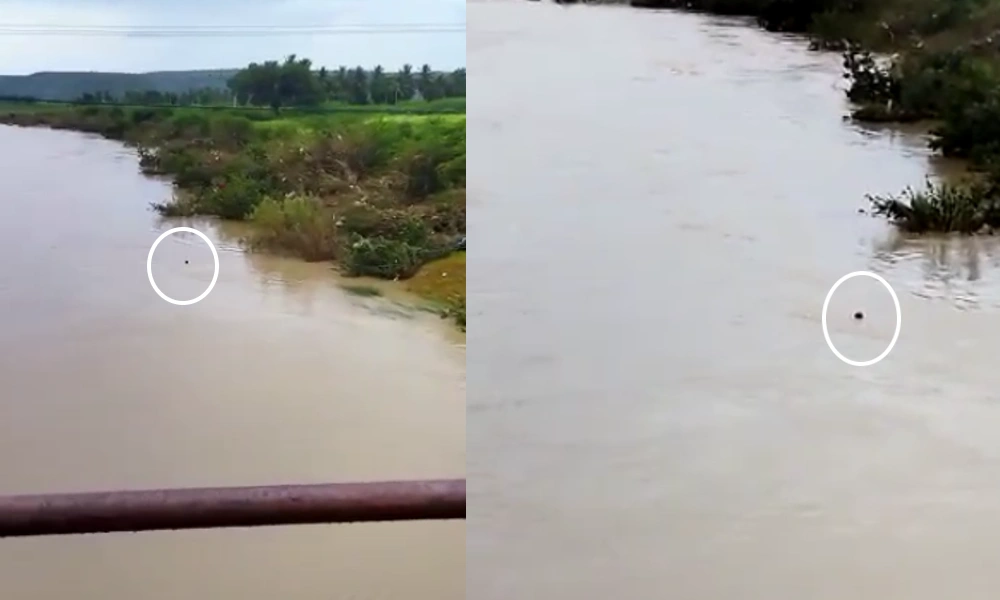 ಬಾಗಲಕೋಟೆ ಆತ್ಮಹತ್ಯೆ