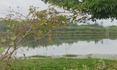 Chandapura Lake