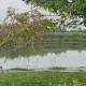 Chandapura Lake