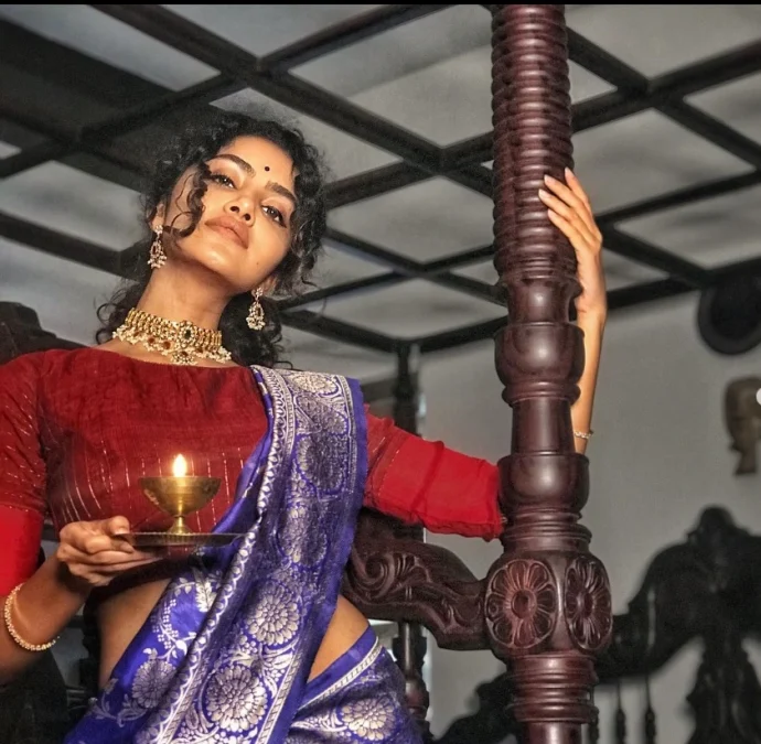 Deepawali Saree Fashion