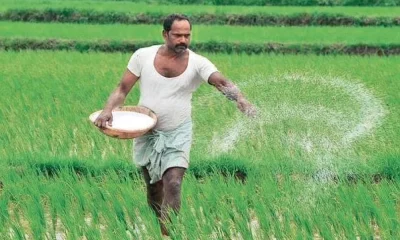 Central Government Approves rs 22,303 cr subsidy to fertilizer for rabi season
