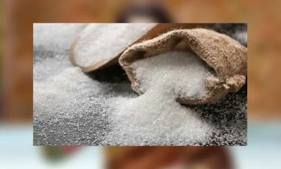 Sugar Export Ban