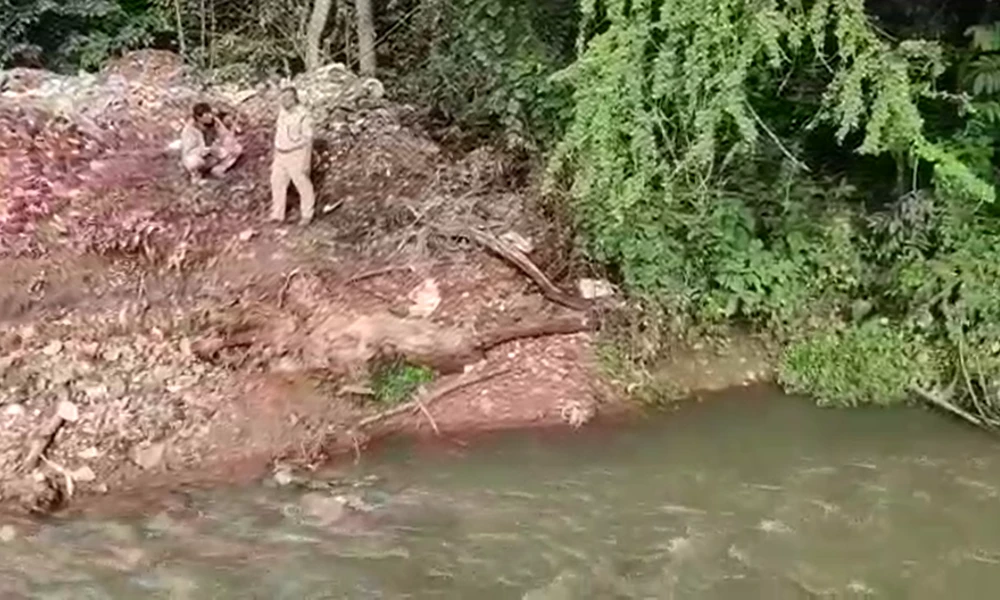 Crocodile Found