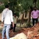 compound collapse hassan