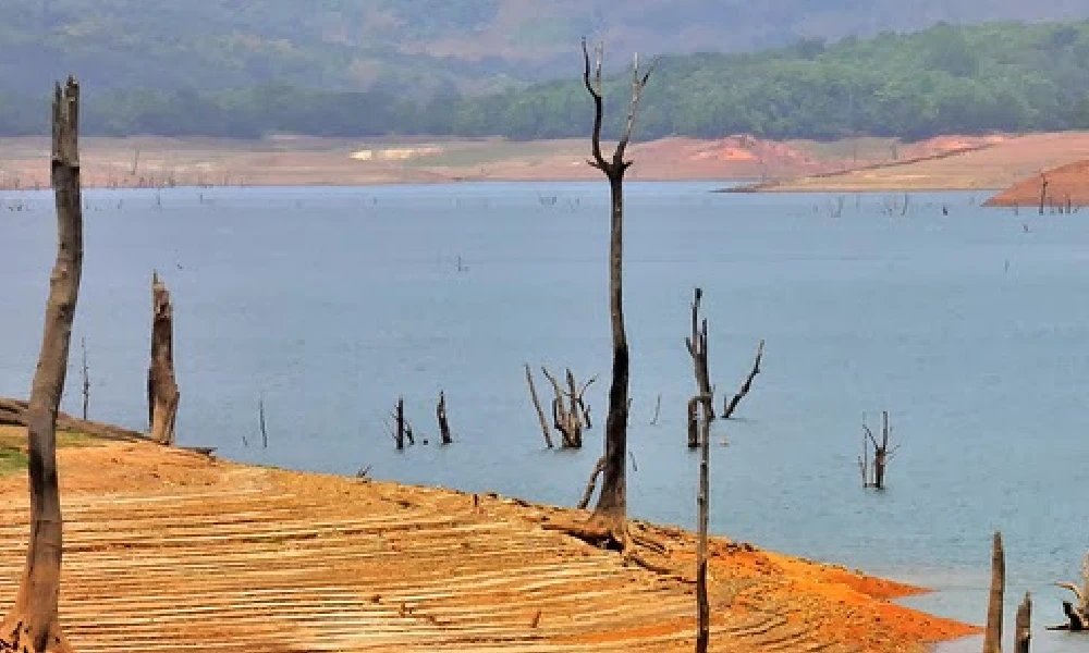 sharavati backwater sagara