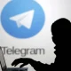 telegram terror