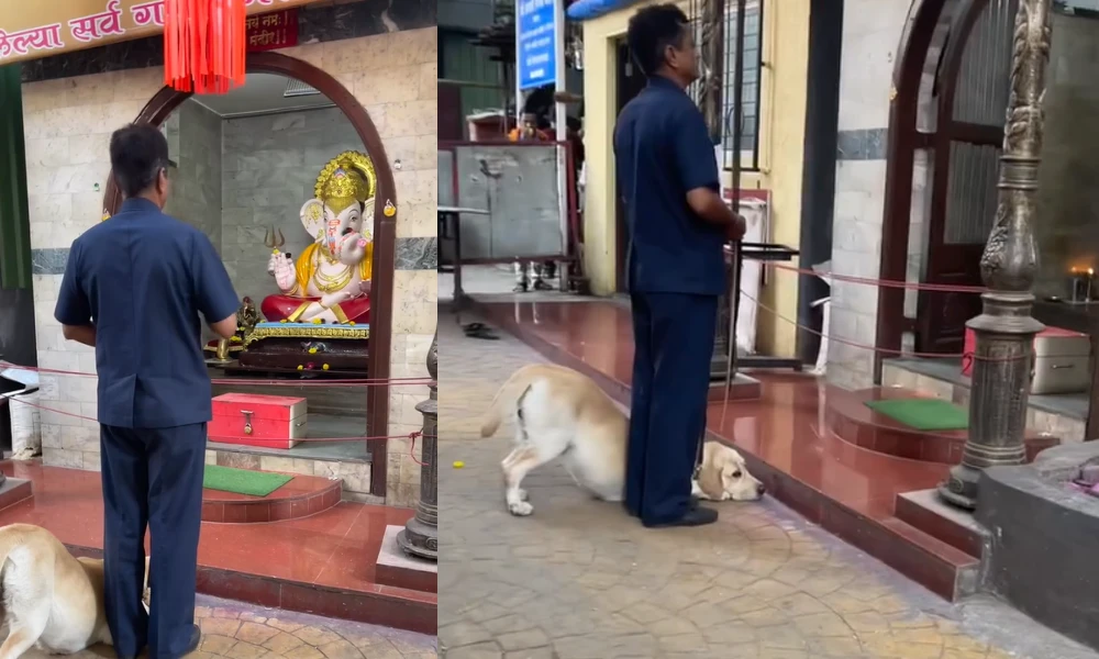 Dog bows down To Lord Ganapati In Pune