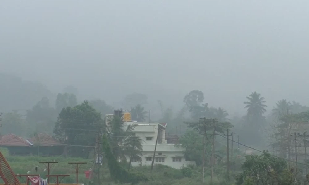 Rain In Karnataka