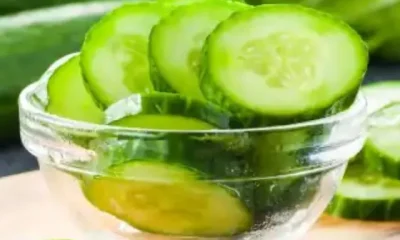 Cucumber Benefits