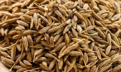 Cumin Benefits