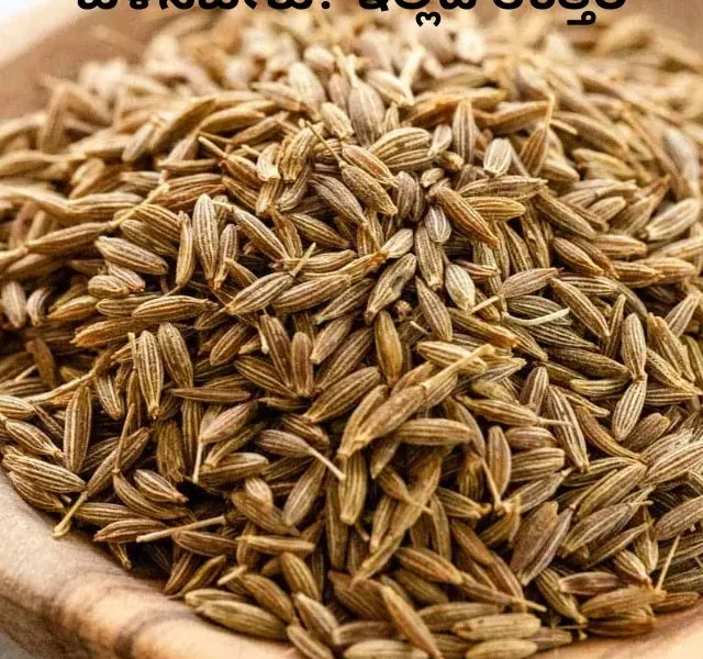 Cumin Benefits