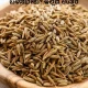 Cumin Benefits