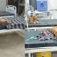 Dogs Sleeping On Hospital Bed in Madhya Pradesh