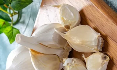 Garlic Benefits