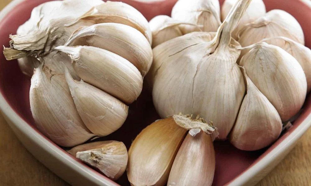 Garlic benefits