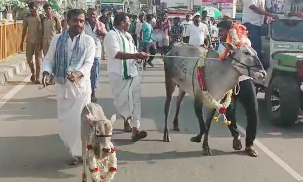 JDS Pancharatna @ಮಳವಳ್ಳಿ ಎಚ್‌ಡಿಕೆ