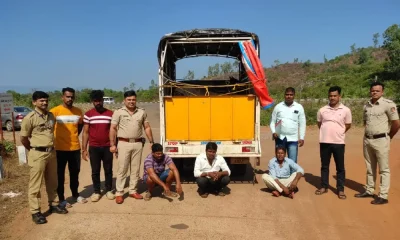 Transportation of bullocks Police raid