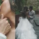Monkey Interrupts Couple Wedding Photoshoot Viral Video