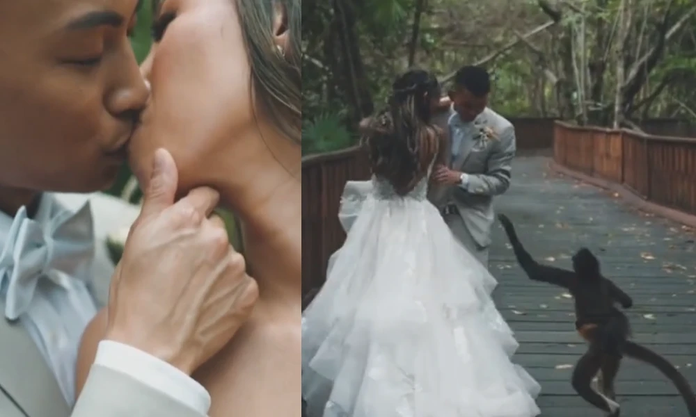 Monkey Interrupts Couple Wedding Photoshoot Viral Video