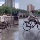 Viral Video In Rain