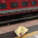 dead body fond in train ಬೆಂಗಳೂರು ಬಂಗಾರಪೇಟೆ ರೈಲಿನಲ್ಲಿ ಅಪರಿಚಿತ ಮಹಿಳೆ ಶವ ಪತ್ತೆ