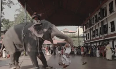 guruvayur elephant