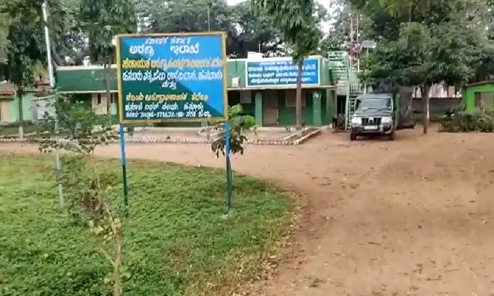 Deforestation hanuru forest office ಬಾವುಲಿ ಗಲೀಜು ಮರ ಕಟಾವು