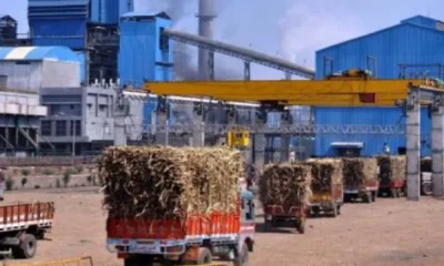 action-will-be-taken-against-suger-factories-if-found-guilty-says-govt